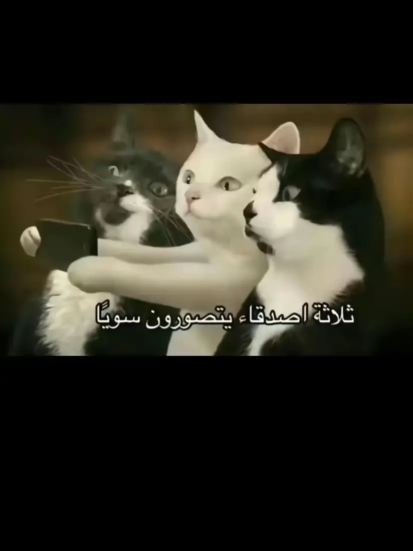 💯#اكسبلور #fyp 