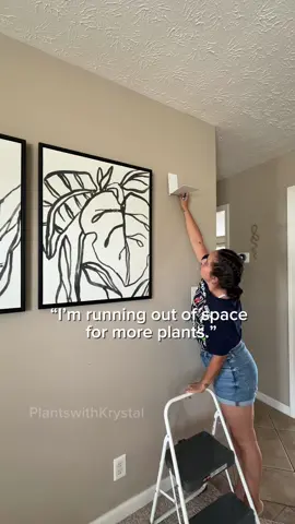 So then using the wall space will have to do!  A floating bookshelf works great for plants. The link located in my Amazon storefront as well.  I have this thing where I hate to make holes in my ceiling so I love these shelves to give a the effect of a floating plant to my space.  #plantdecor #hangingplant #plantstyle
