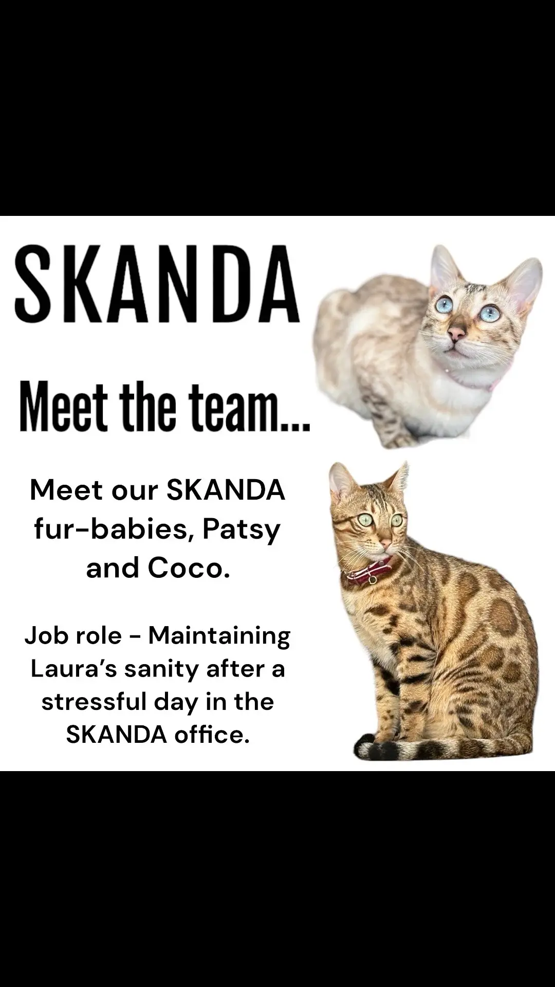 Meet #patsy and #coco our #skanda #furbabies 🖤 #catlover #catsoftiktok #cats #cattok #catlovers #catmom #catfamily #fypage #fyp #fyourpage 