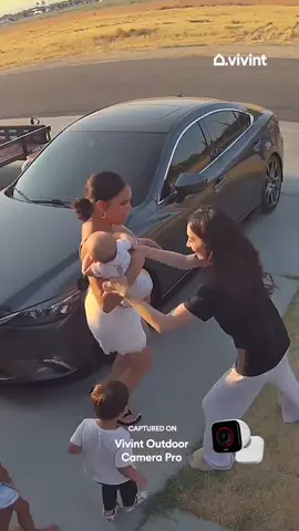 Better wasp out, Ashley. 🐝 #securitycamera #caughtoncamera #vivint 