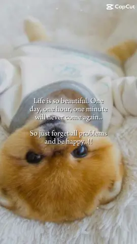``` #quote #lovequotes #motivationalquotes #quotesaboutlife #quotesdaily #overthinking #viral #quotesdaily #explore #heartbreakquotes #explore #explorepage #spamaccounts #twittershit #edits #spamaccount #twitterquotes #sadquotespage #funnyquotes #dog #funny #real #relationships ```