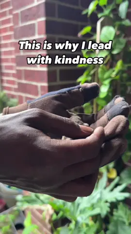 Has something like this ever happened to you? #wildlife #gardenanimals #birding 