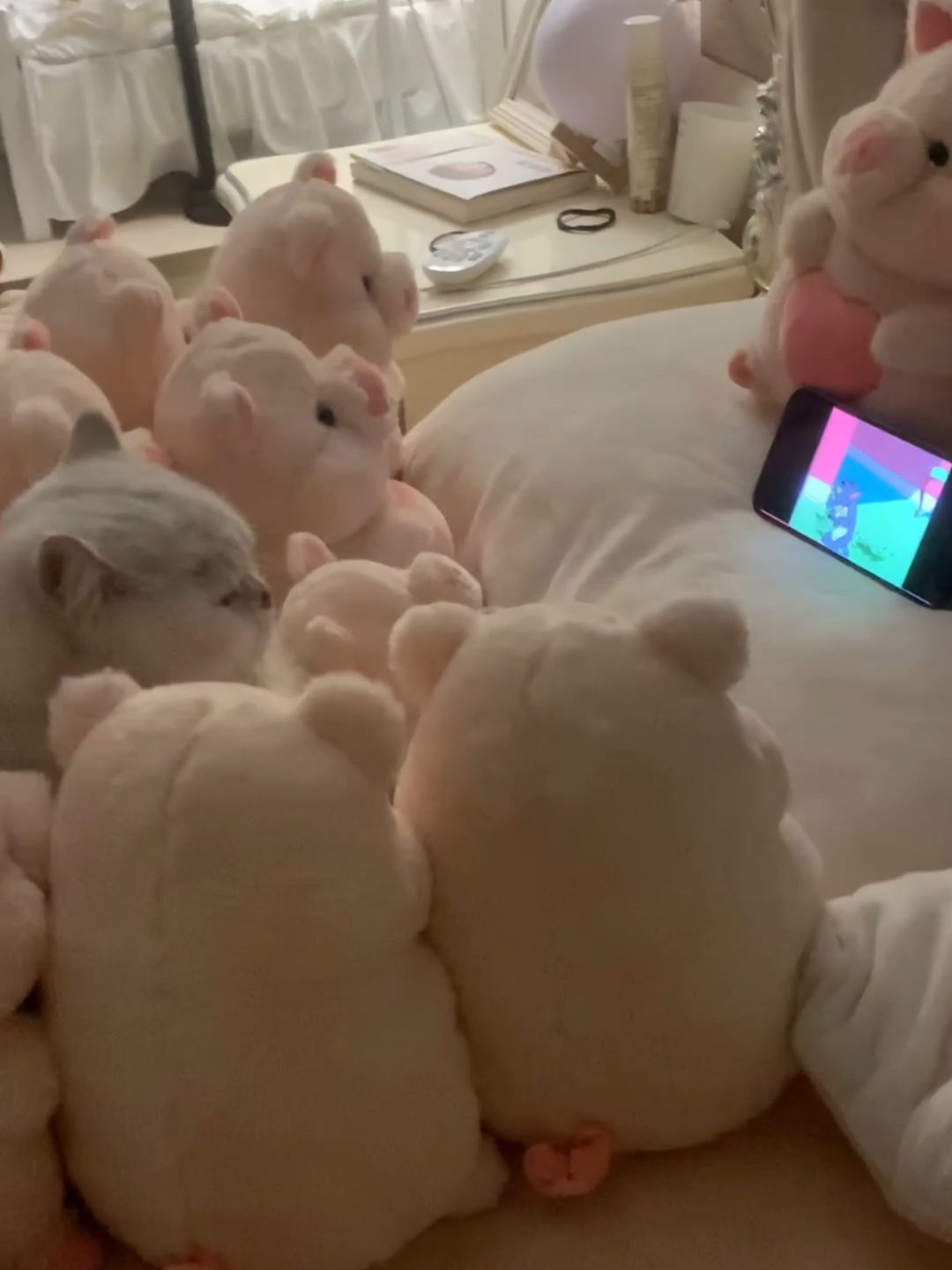 Cat's Priceless Reaction to Watching Cartoons! 😸📺 #funnycat #catreaction #cartooncat #catsoftiktok #adorable #hilarious #catvideos  #catshousetv