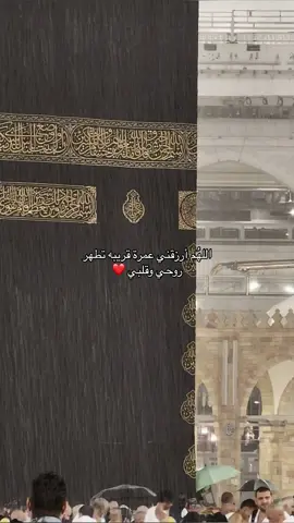 اللهم عمرة قريبه تشف بها صدورنا وتزيل بها همومنا #لاحول_ولا_قوة_الا_بالله #اللهم_آمين #مكة #عمرة #explore #اكسبلورexplore #الحمدلله_دائماً_وابداً #استغفرالله_العظيم_واتوب_اليه #قران_كريم #اللهم_صل_وسلم_على_نبينا_محمد #يارب #foryou #fyp #ادعيه #يارب_فوضت_امري_اليك #oops_alhamdulelah #اكسبلور 