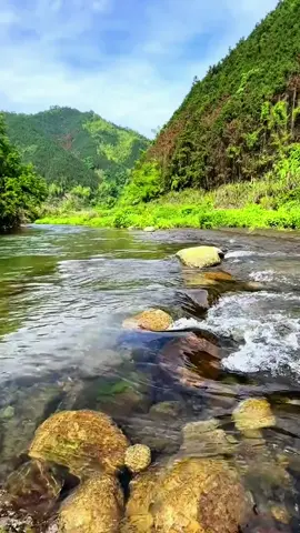 Splendide Nature!!!