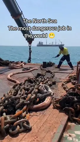 #nature #northsea #bigships #deepsea 