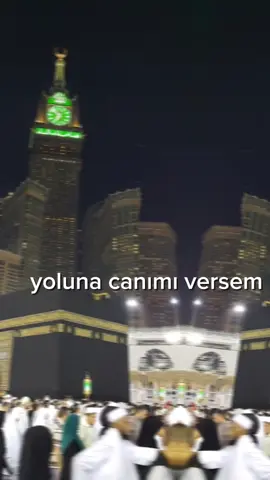 yoluna canımı veririm🌹 #allah❤️ #binşükür #ilahiler #beniöneçıkart #hz #fypシ゚viral 