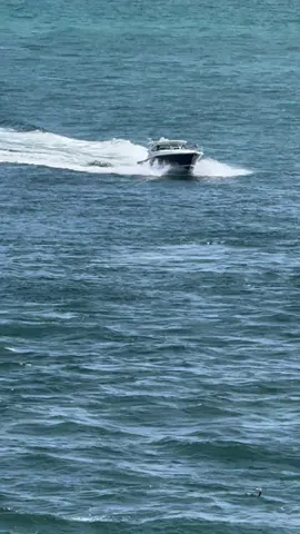 Sunday morning traffic at the Haulover Inlet. Filmed exclusively for us by my good friend Scott 