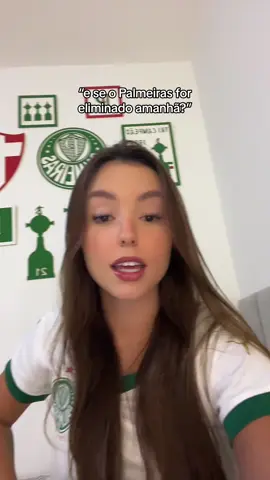 não responderei por mim #palmeiras #botafogo #libertadores 