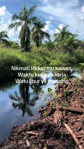 Jarang tampil bukan berati redup di dunia pemacing,🫵🏽🫡#storymancing #mancingfishing🎣🎣 #hobymancing #mancingmania #mafiaparitgroup🤟 #fypシ゚ 