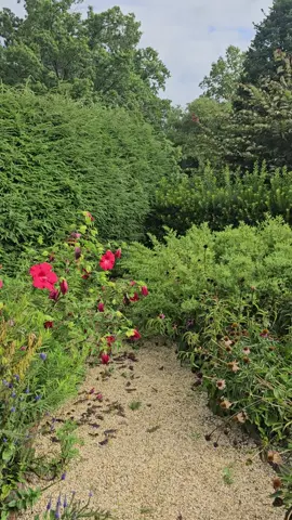 Garden work is work 💪 