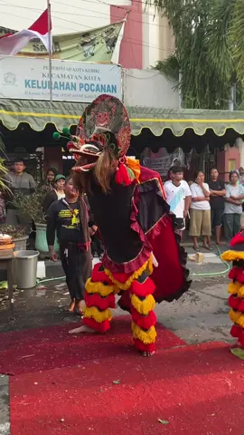 ✌ . management : @Santaveve  . #fypシ゚viral #barongan #barongankediri #baronganhits #jaranan #jaranantiktok #jarananindonesia #TANAKA #022 #jaranankediri #fyp 