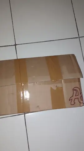 PAKETAN ORDER 1M GRATIS 0,3 SUDAH DI TERIMA TERIMAKASIH MASKUH🥶 #fypシ #fypdongggggggg #stmstoryy🌻 #stmsejabodetabek #zmn14 #fyp #cerulitmadura #hiasankamaraesthetic #storymalam #fyp #fypage 