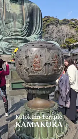 Kotokuin Temple - Kamakura, Japan  #kotokuintemple #kamakura #greatbuddhaofkamakura #daibutsu #japan 