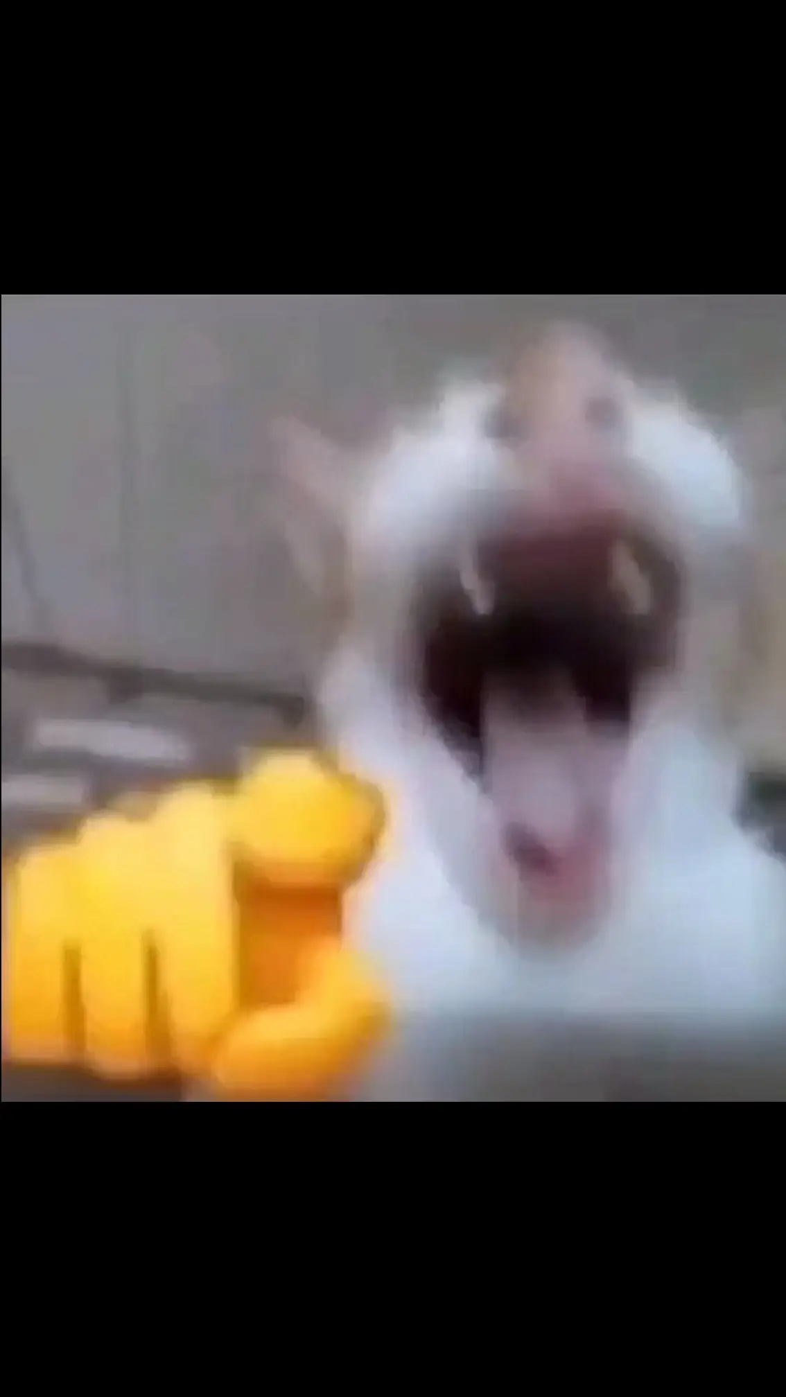 WAAAAAAAA.AHAHAAAH😂#meme#memestiktok#viral#fyp#fyppppppppppppppppppppppp#foryou#funnymeme#funnymemes#cringe#cat#memes  