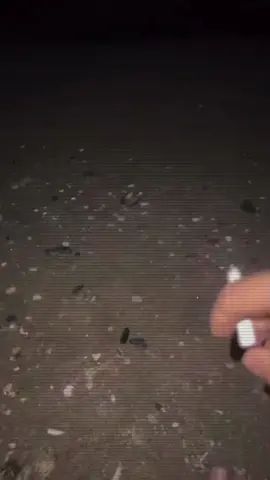 ‌
‌
‌
‌
‌
‌
‌                                                                                                                              #fyp #foryou #foryoupage 