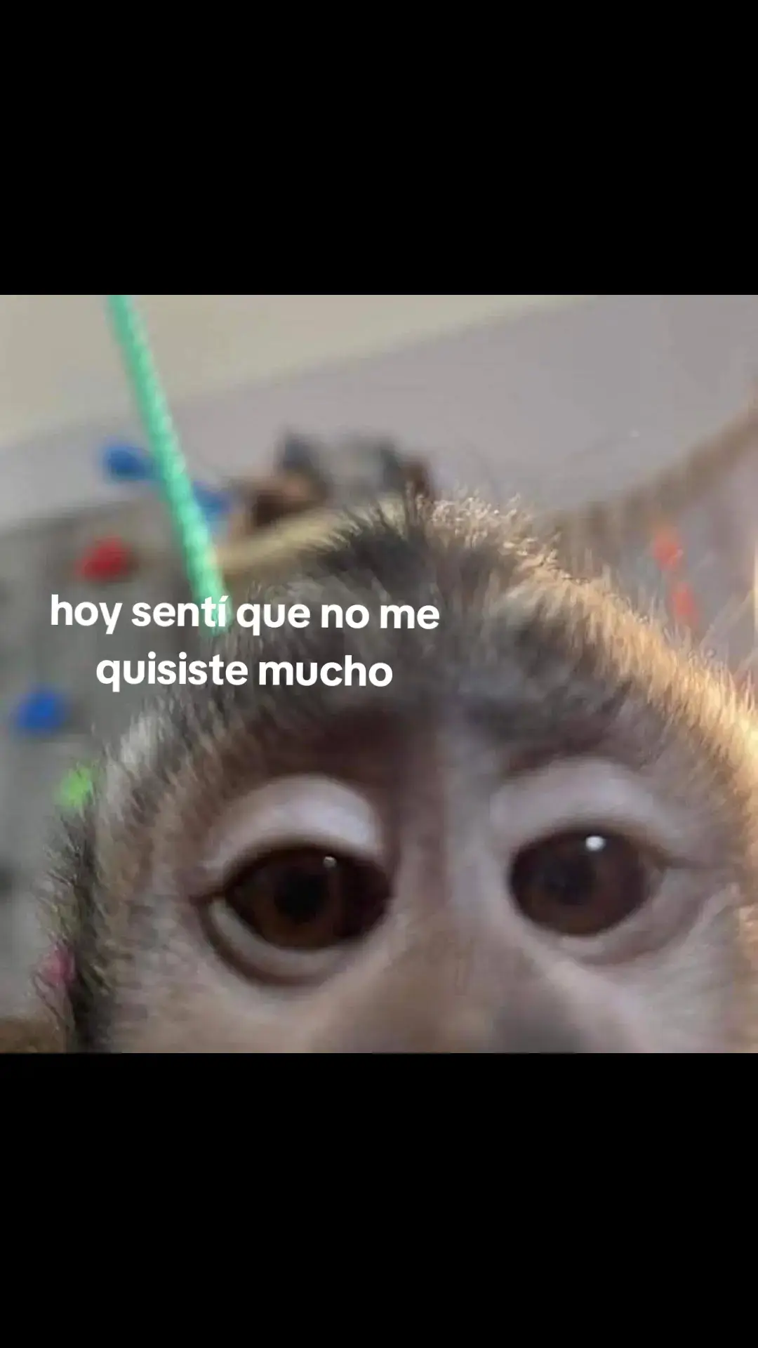 dime q no es vrd ☹️#viral #amor #parati #frases #triste #monkey #monito 