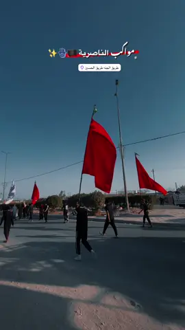 16 صفر. 🪬🏴🕊️.. #طريق_الجنة💚 #طريق_الحسين #باسميات #الحله_بابل 