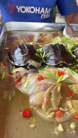 Yummy Yummy , Eating Turtles #eat #cook