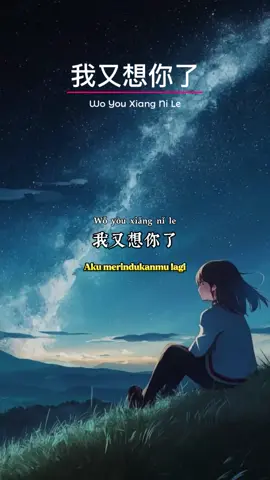 《 我又想你了 》 Wo You Xiang Ni Le ( Aku Merindukanmu Lagi ) #音乐分享 #情感音乐 #template #teks  #song  #jo_han2011 #music #foryou #like #short #mandarin #CapCut 
