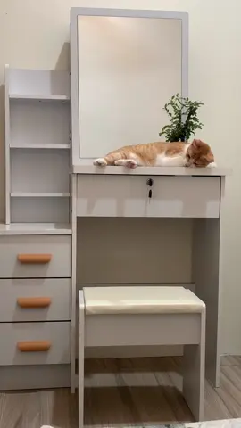 WJF European-style bedroom multi-functional dressing table