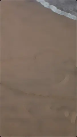 tag S 🤍 #S #name #seaview #nameart #S #viral #foryou #trend #tiktok #followformore #CapCut #sname #sand #heart 