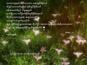 #CapCut #အာဒံဧဝ#ရိန်မိုး#foryou #fypシ #foryoupage #lyricsvideo #viewတေရှယ်ကျ #ရောက်ချင်တဲ့နေရာရောက်👌 