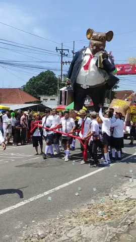 Tikus Berdasi🔥