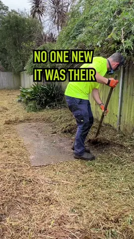 Not a single sole new it was their. #satisfying #lawns #garden #cleanup #freemowfridays #spellingbeechamp #asmr