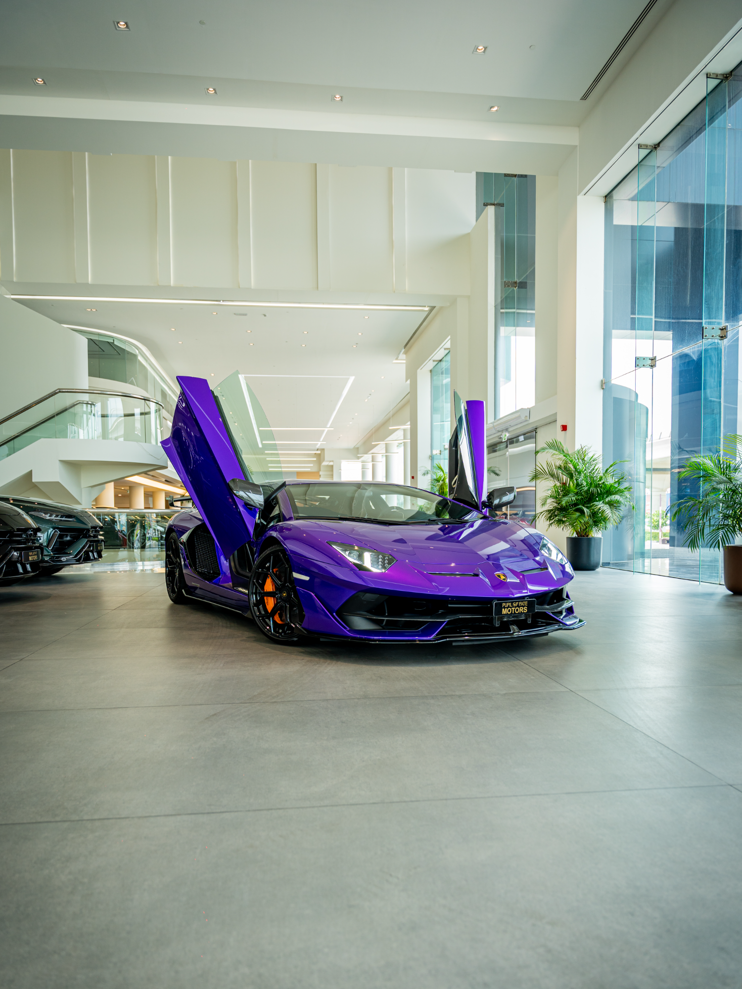 𝗟𝗮𝗺𝗯𝗼𝗿𝗴𝗵𝗶𝗻𝗶 𝗔𝘃𝗲𝗻𝘁𝗮𝗱𝗼𝗿 𝗦𝗩𝗝: Purple perfection at POF Motors💜💜 For Sales Enquiries, Contact: 📲 +971 56 400 2319 📧 info.trading@pupiloffate.ae 🚀 www.trading.pupiloffate.ae #Lamborghini #AventadorSVJ #Supercar #LuxuryCar #SportsCar #CarEnthusiast #ItalianDesign #V12Engine #TrackReady #Hypercar #AutomotivePerformance #CarPhotography #DreamCar #Speed #ExoticCar #Trillionaire #CarPorn #Dubaisupercars #Dubai #Dubai🇦🇪 #Pupiloffate #Luxury #Showroom