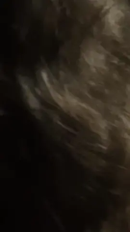 kkk #xh #phim #mada #slowmotion #fyp 