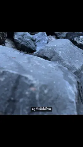 ตราบธุรีดิน - PMC ปู่จ๋านลองไมค์ #เธรดเพลง #ภูเก็ต #ฟีดดด #ท้องฟ้า⛅🌈 #ทะเล #เปิดการมองเห็น #ทะเลภูเก็ต #fyp #ปู่จ๋านลองไมค์ 