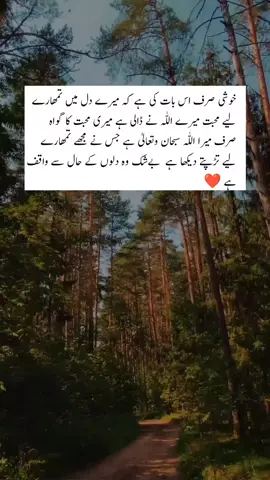 Beshak Issi Baat ki Tu Khushi hai Kay Meri Mohabbat ka Gawa Mera Allah hai ✨❤️ #foryou #fyp #viral #unfreezemyacount #foryoupage #islamic_video #Allah 