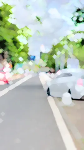 #toyotaprius #priusownersclub #tiktok #downsouth🇱🇰 #fypシ゚viral #Babe #srilanka #trending 