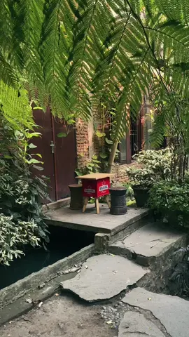 Terpantau lebih asri. Sini o 👋🏻🍃 #pipirlepen #kulinermalang #kayutanganmalang #malangfoodies #wisatamalang #kopipinggirkali #ngopidihutan #cafemalanghits 