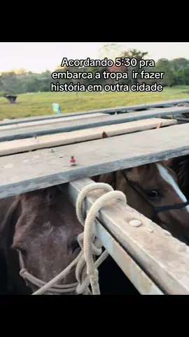 #cavalgada #pecuariabrasil🇧🇷🐂🐂🐂🐂 #fyp @Guilherme de Paula 