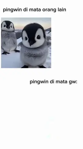 bansosswkwk🤣 #fyp#pingwintoxic #fyppppppppppppppppppppppp #xyzbca #lewatberanda #gasukaskip📵 #pingwin#toxic #bngetttttt 