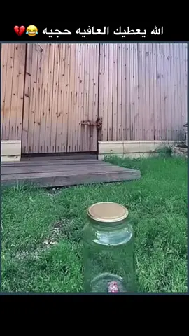 تمت المهمه بنجاح حجه ولا بهمك 😂😭 @مقالب 웃 🎭 #اكسبلورexplore #مقالب_مضحكه #ردة_فعل #fyp #كاميرا_خفية #مواقف_محرجة #تحشيش_للضحك #الجزائر_تونس_المغرب #foryou #مصر_السعوديه_العراق_فلسطين_اليمن_عمان_لبنان_فلسطين_الاردن #كوميديا_comedy 