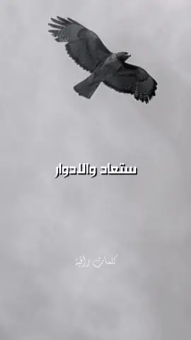 الدنيا ستدور، والمشاهد ستُعاد والأدوار ستتبدل، وكل ساق سيسقى بما سقى.. . #اقتباسات #أقوال #أقوال_وحكم #حالات_واتس #كلمات #تيك_توك #للعقول_الراقية_فقط #خواطر_ملهمة #خواطر  #كلمات #اكسبلور #اكسبلورexplore #للعقول_الراقية_فقط🤚🏻💙 #عباراتكم #عبرات_من_القلب💔💔 #عبارات_حزينه💔 