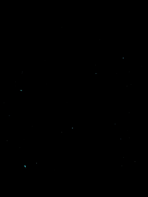 forever young x fireflies  #kennlyrics#music#foryou 