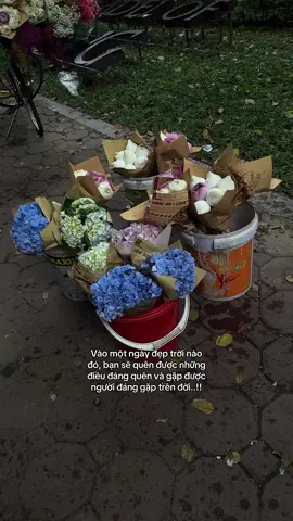 Vào một ngày đẹp trời nào đó, bạn sẽ quên được những điều đáng quên và gặp được người đáng gặp trên đời..!! #tamtrang #muathuhanoi #xh #2am #fyp 