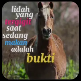kata kata hari ini sc: @badakleci #katakata #motivasi #hopecore #motivation 