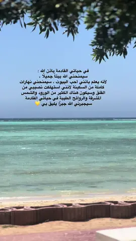 سيجبرني الله جبرًا يليق بي 💛#fyp #4u #اكسبلور #اكسبلورexplore #viral 