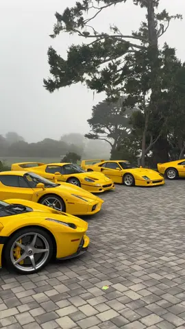 🐝🍌🍋 party #ferrari #mustard #yellow #collection #f40 #f50 #enzo #laferrari #aperta #288gto #spec #carweek #carmel #monterey #fog #quality #views #viral #blowup #dontflop #foryoupage #fyp #explor #carsoftiktok #CapCut  