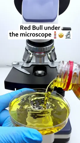 Oh my god.😱😱I never thought Red Bull would look like this when magnified 400 times.🔬😍#microscope #undermicroscope #tiktok #fyp 