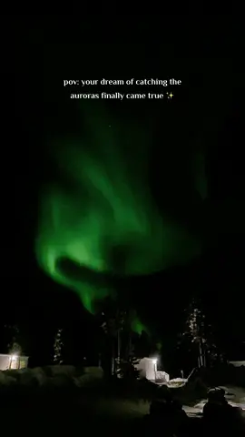 A dream come true ✨ . . . . . . . #فوريو_العرب #lapland #ڤلوق_سفر #سفره_الشتاء #لابلاند_فنلندا #foryou #auroraborealis #الشفق_القطبي #aurora #اكسبلور #مالي_خلق_احط_هاشتاقات🧢 