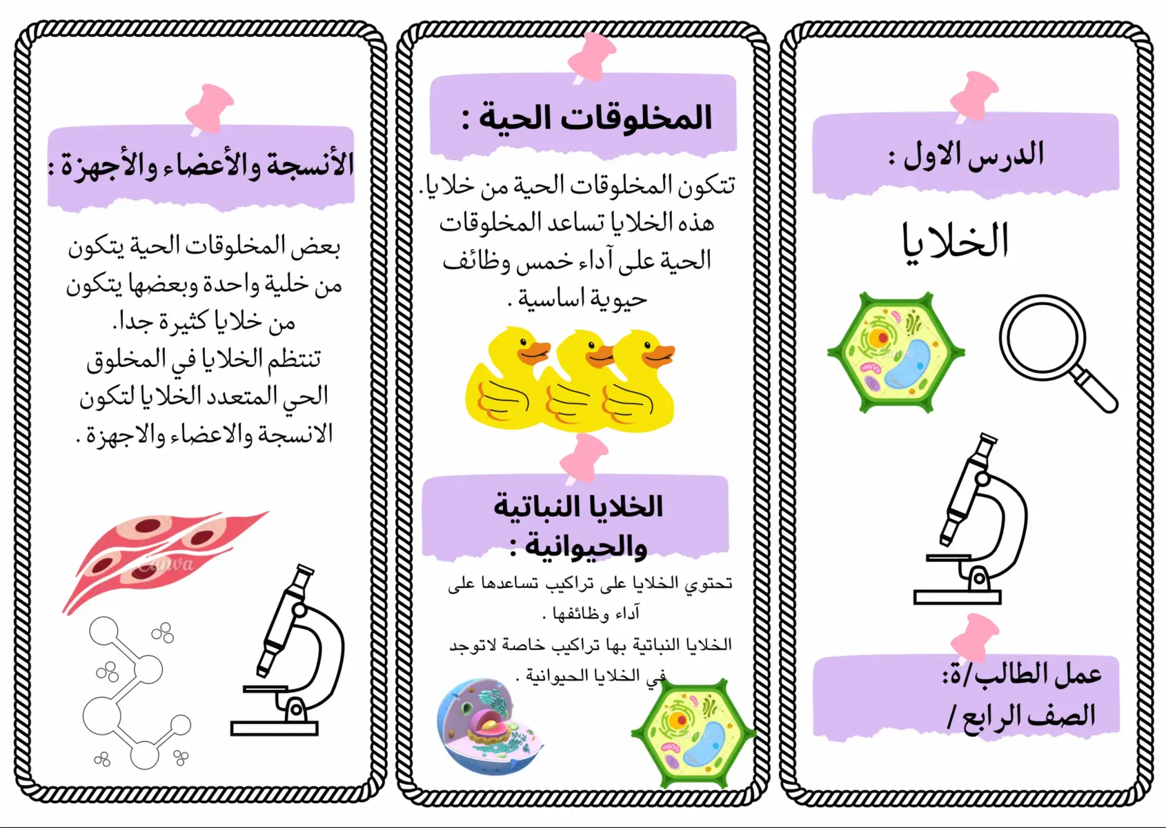 #مطوية_الصف_الرابع #الصف_الرابع_الابتدائي #مطويات_علوم #مطويات #علوم #مادة_العلوم  