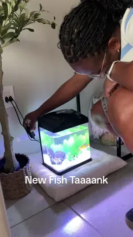 We need 2 name suggestions?☺️ Argh, i am so happy for Nemo to finally have company again after loosing Coco.🤍. #gracemondlana #pet #PetsOfTikTok #fish #fishtok #fishtank #petmom #pets 
