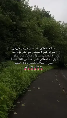 #اكسبلور #fyp #foryou #قران_كريم 
