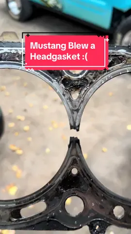 My V6 Mustang FINALLY RUNS GOOD!!! #newedge #mustang #sn95 #jdm #headgasket #thunderbird #drift #driftcar #donut #takeover #mechanic #car #cars #carsoftiktok 